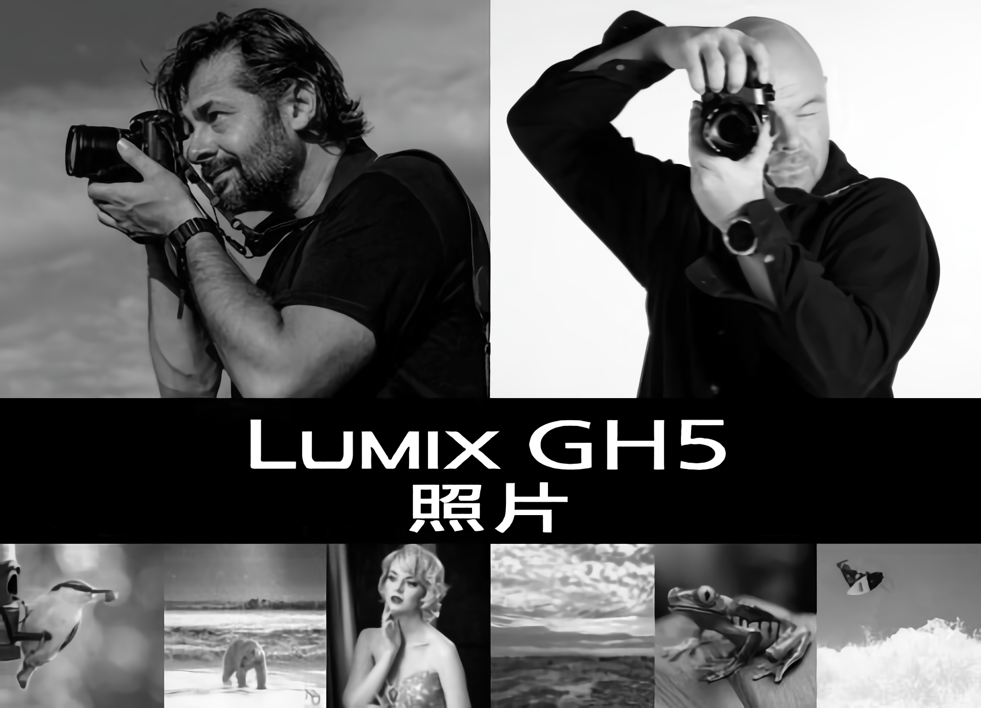 LUMIX GH5照片
