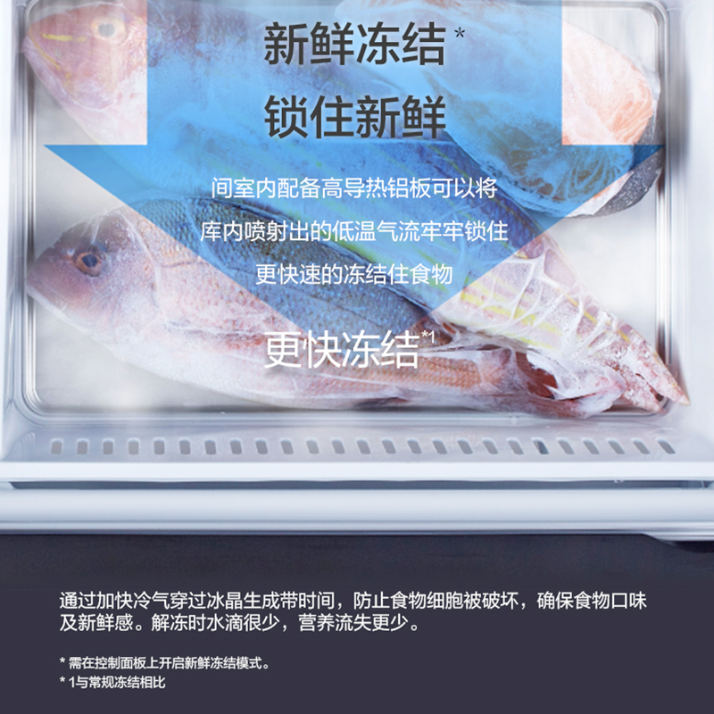 圖層 13.png