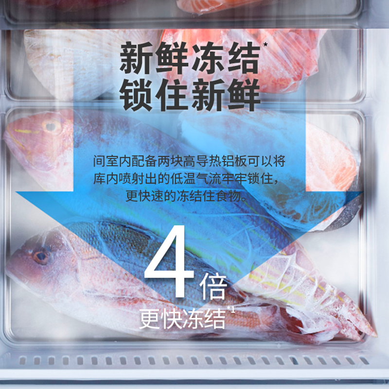 圖層 12.png