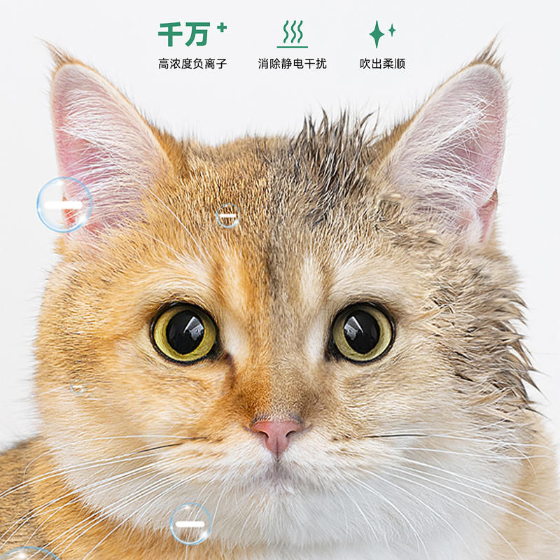 圖層6.png