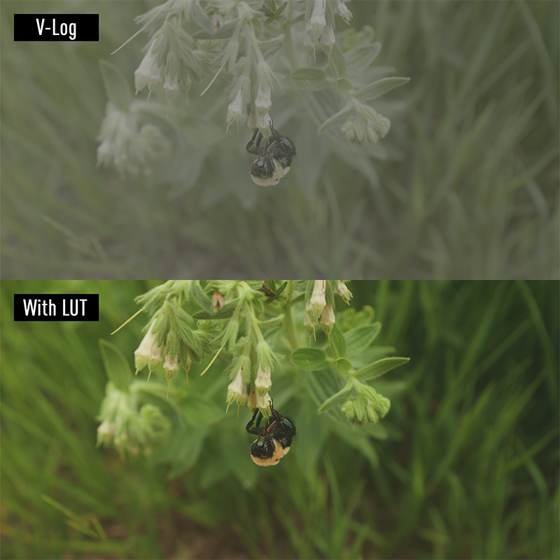 lumix-2023-g9m2-feature-6-2-230825.png