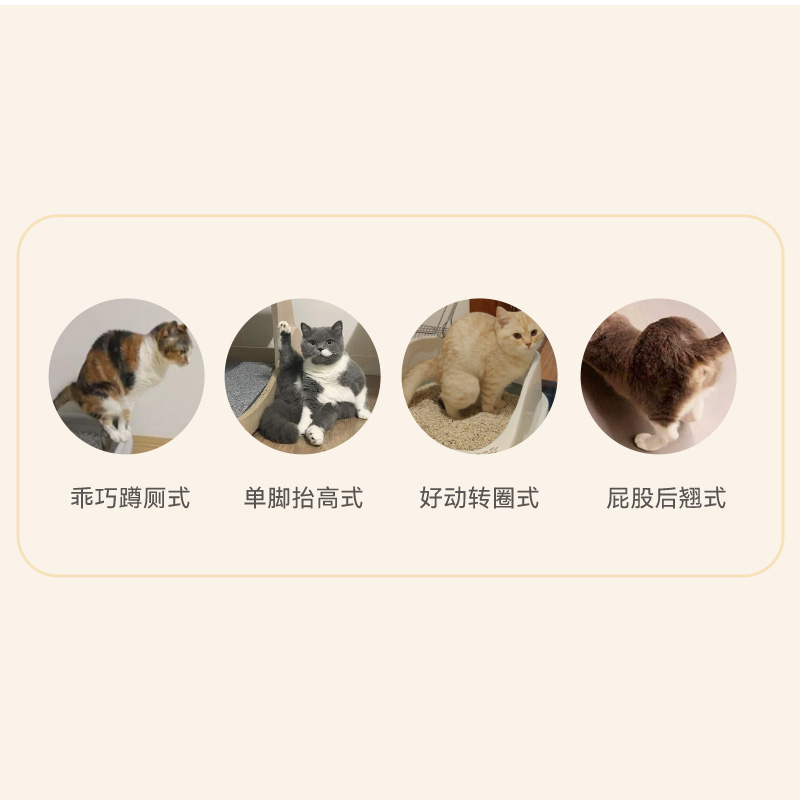 不限制，不束縛