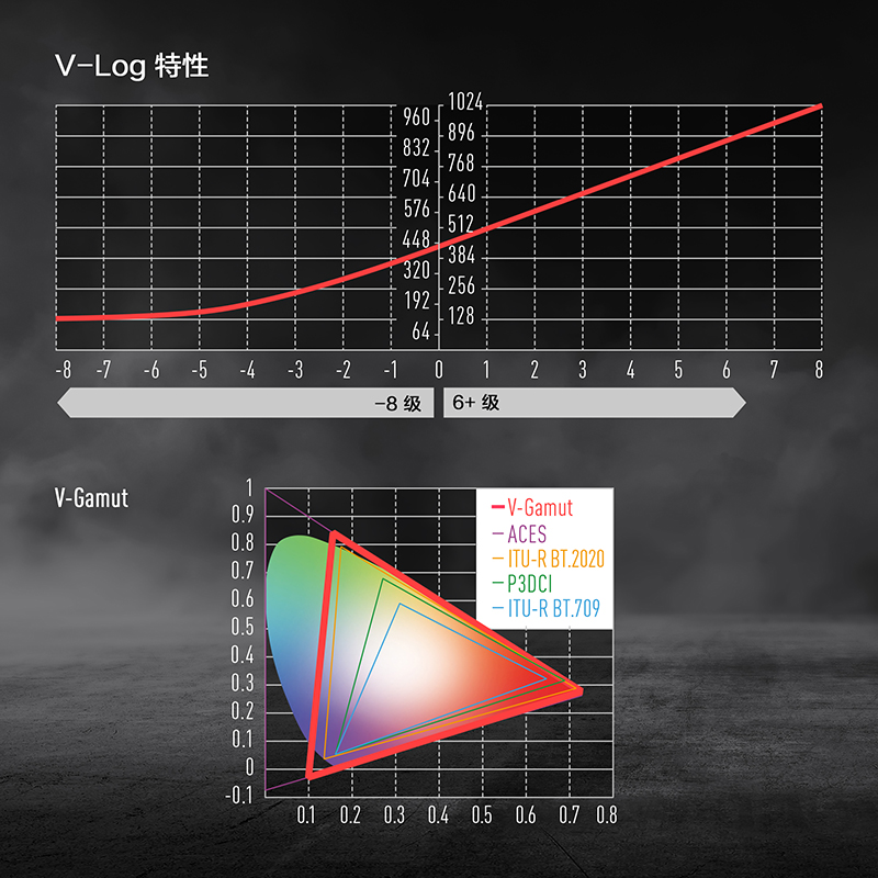14+ 檔 V-Log 和 V-Gamut“VariCam Look”