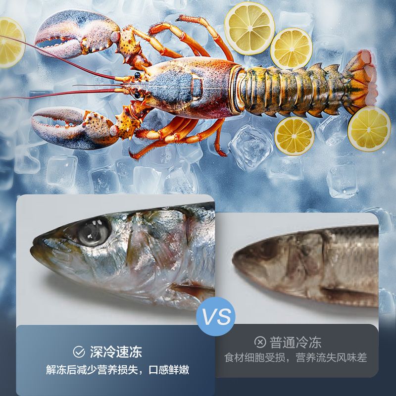 - 24℃極凍鎖鮮，定格食材本味原鮮