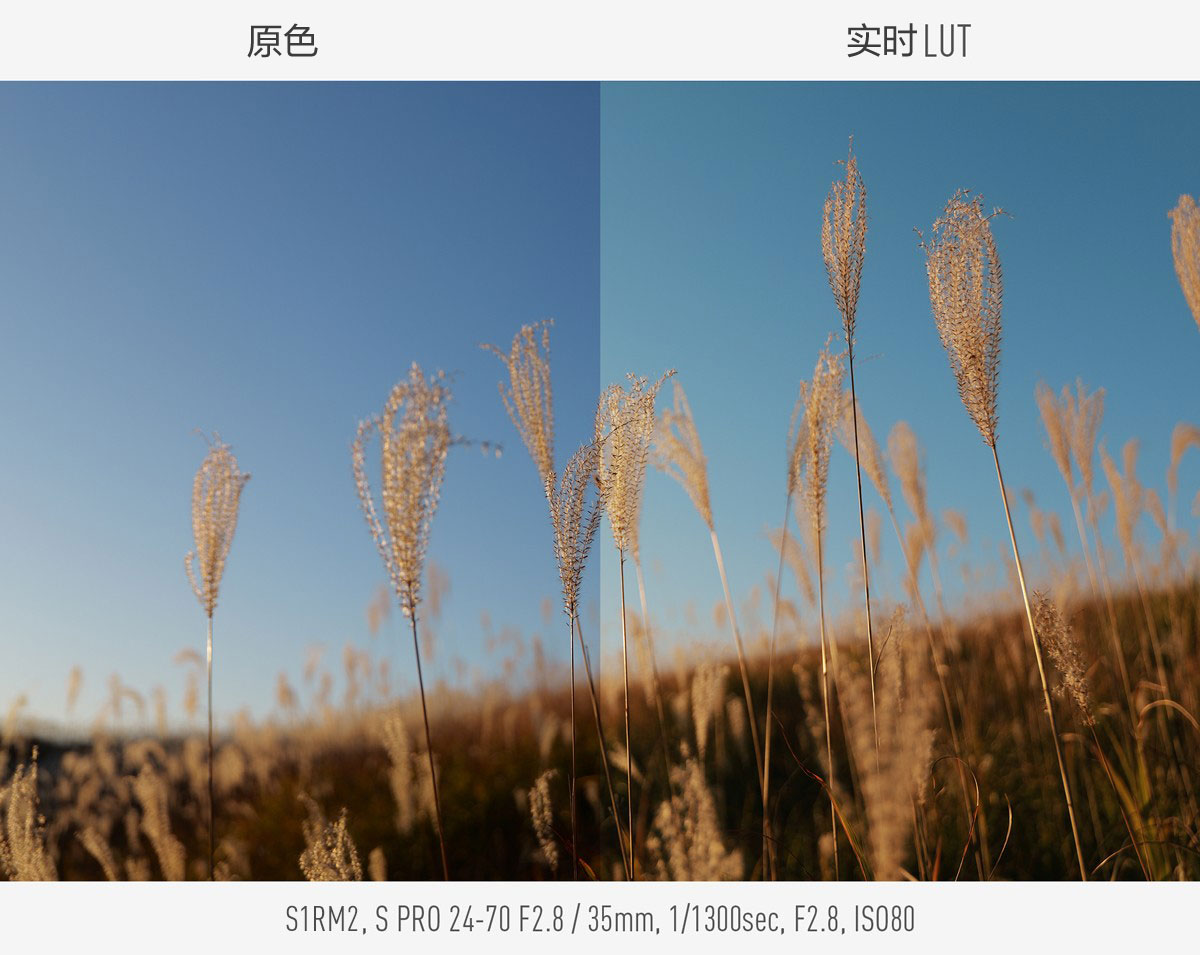 您獨特的色彩表達，將由相機直接呈現