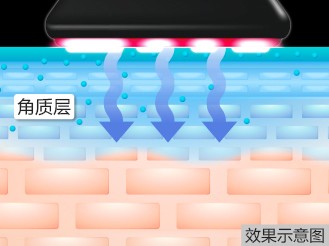 4種功能