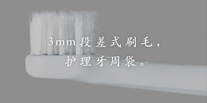 聲波電動牙刷