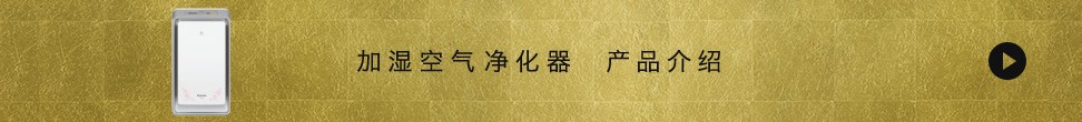 加濕空氣凈化器 產品介紹