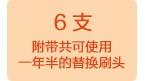 離子極細刷頭