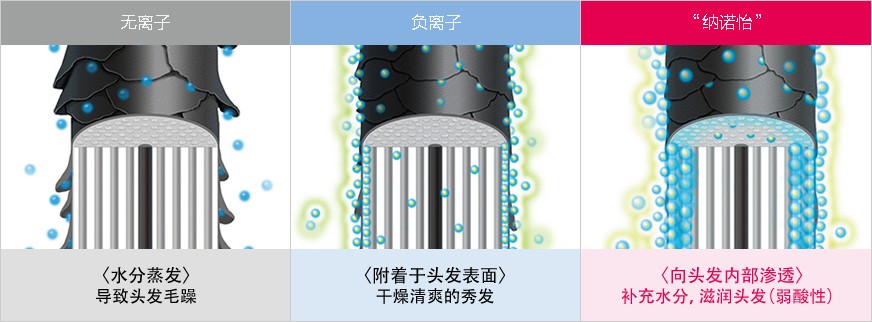 水分蒸發會導致頭發毛躁。“納諾怡”可滲透至頭發內部，補充水分，滋潤秀發。