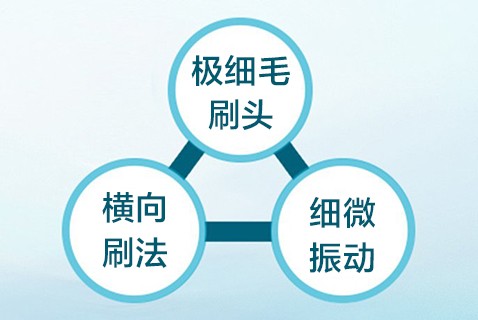 具備3個要素才能刷出潛藏在牙周袋內的齒垢※1