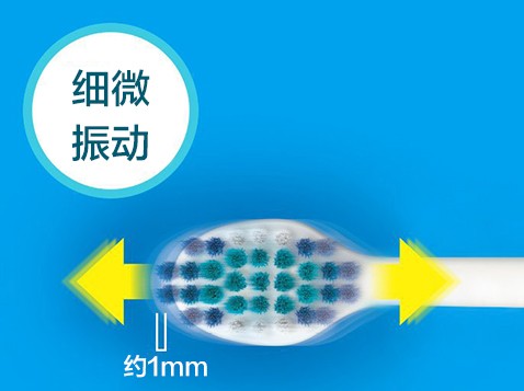 實現理想的振動約“細微振幅1mm”。徹底刷凈牙周袋里的污垢