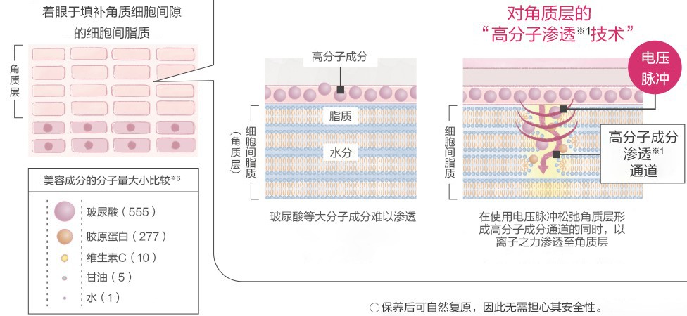 對角質層的“高分子滲透※1技術”