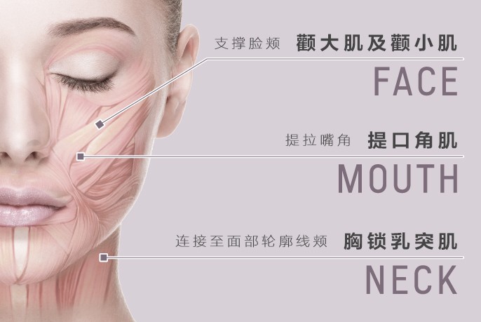EMS刮痧美容儀 EH-SP85